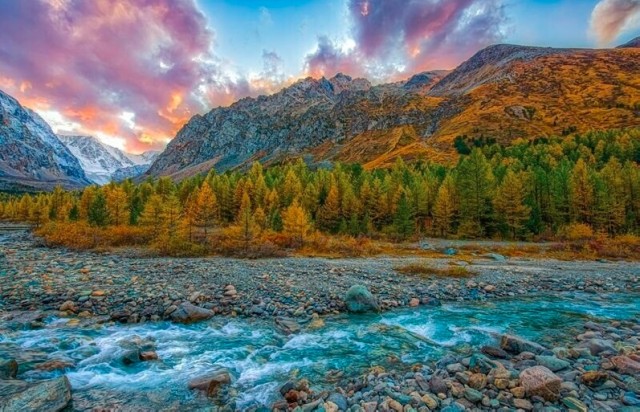 Красивых фото тост