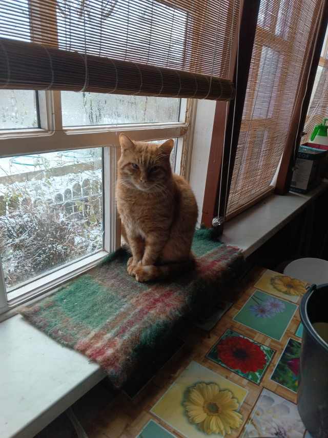 Выбрал раба