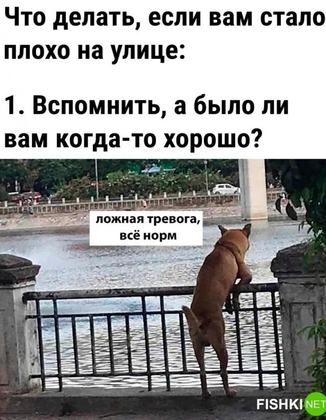 Что присиходит?