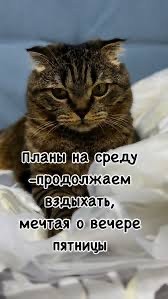 Среды картинки