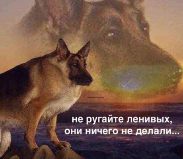 Пятничные картинки