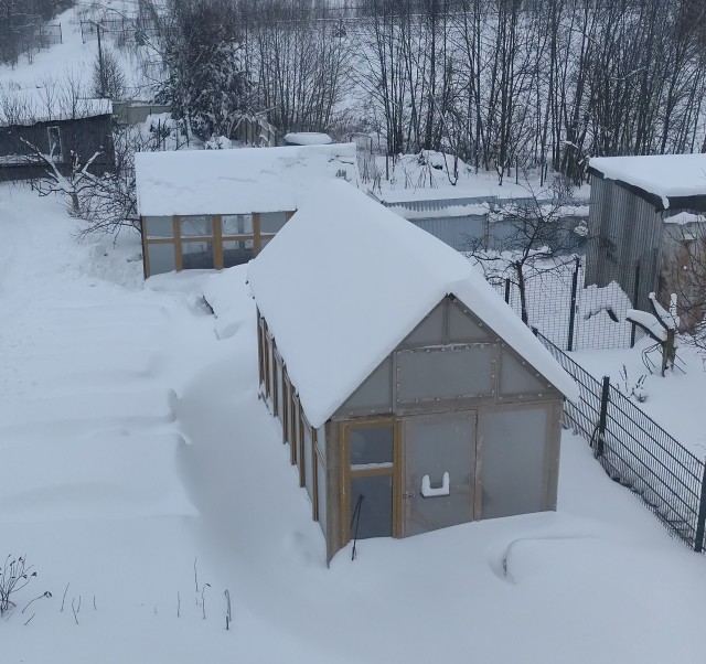 Френсис падла