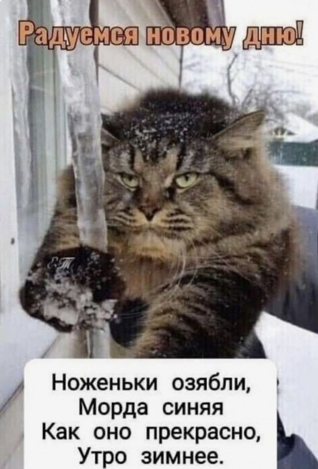 Прикольные и просто красивые картинки 06.02.2026