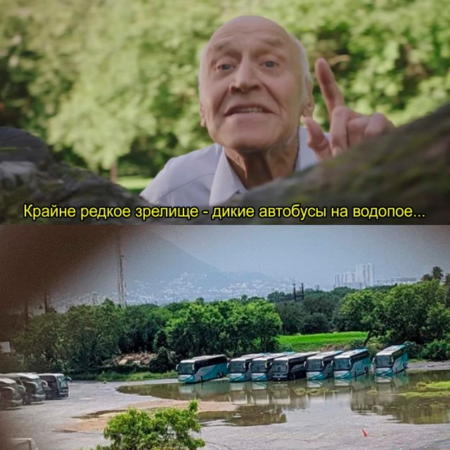 Картинки для деградации 209 (разной степени свежести)