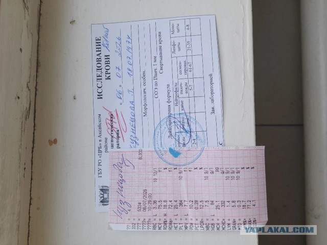 Не дать растаять Снегурчке. Нужна помощь всесильного Япа.