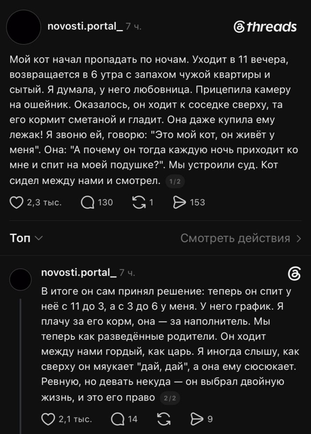 Котька хорошо устроился