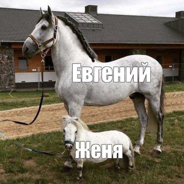 Картинки для деградации 243 (разной степени свежести)