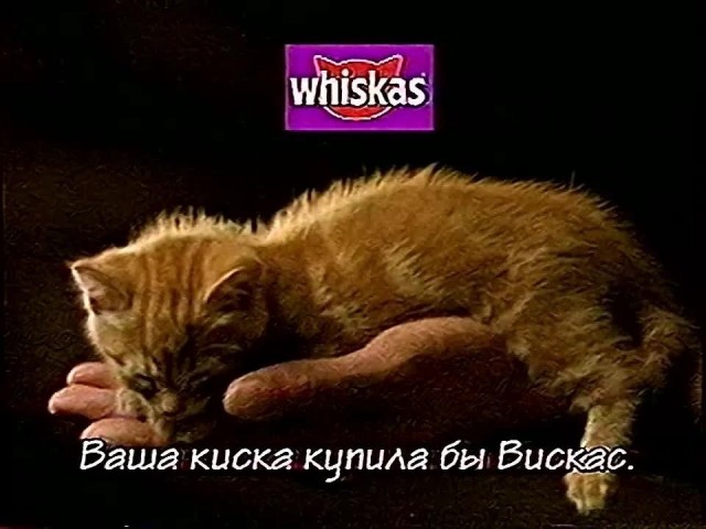 Фразы из рекламы 2000-х, которые навечно засели в нашей голове!