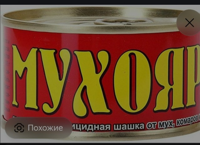 Шершни на даче. Кто как боролся с ними?