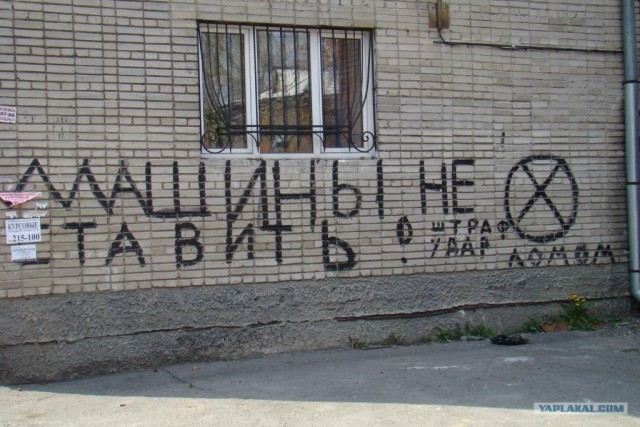 Летние наблюдения