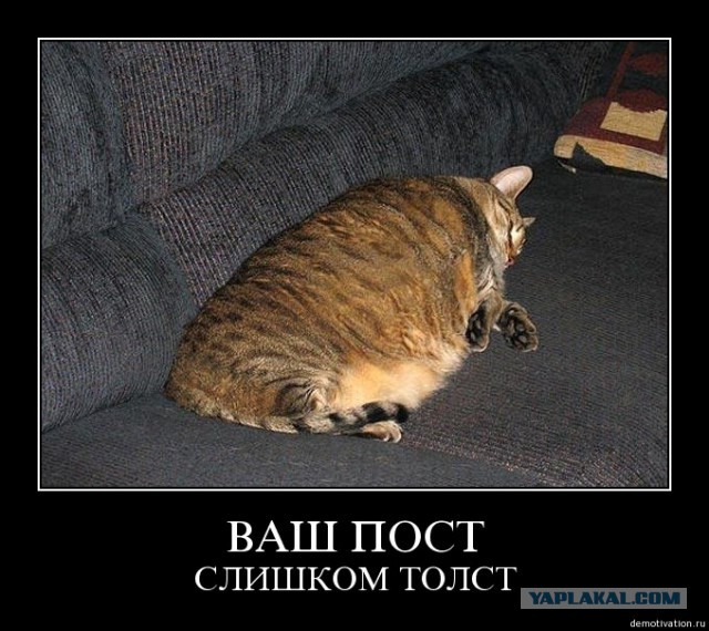Спорт - выбор сильных!