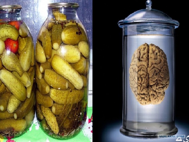 Голубец глазами иностранца