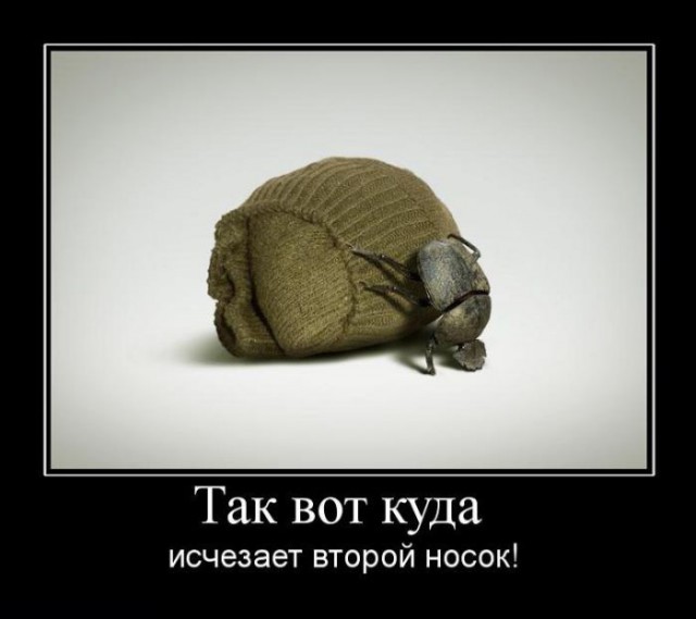 Подборка демотиваторов