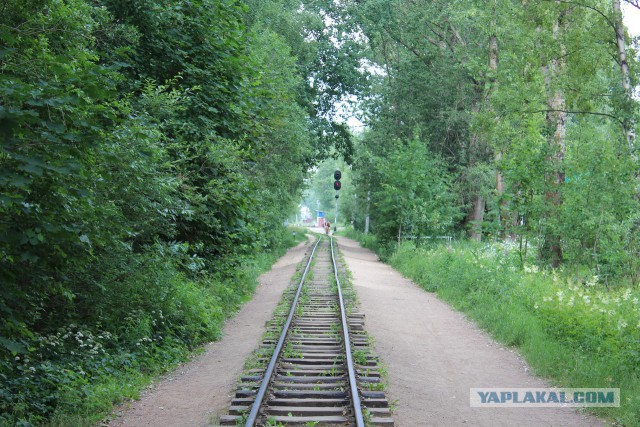Московская детская железная дорога.