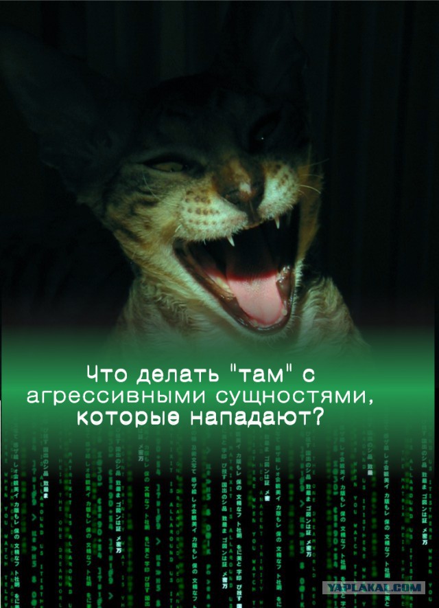Что от нас скрывают?
