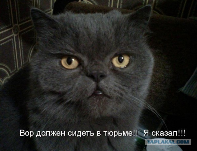 Моя мама шоплифтер