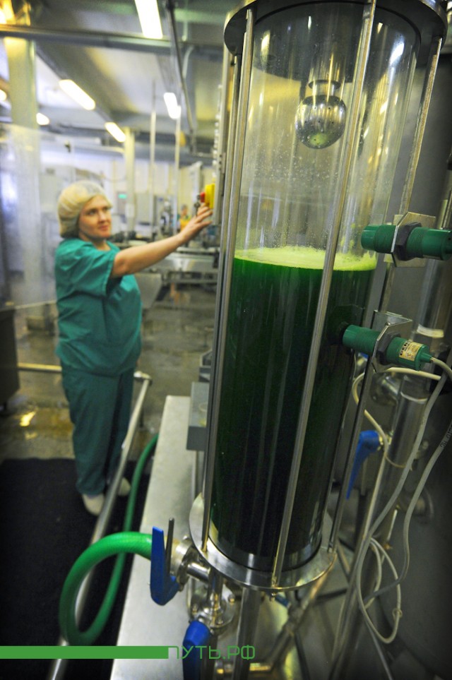 Кто спаивает население Пермского края?