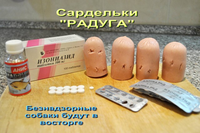 Зоошизе на заметку