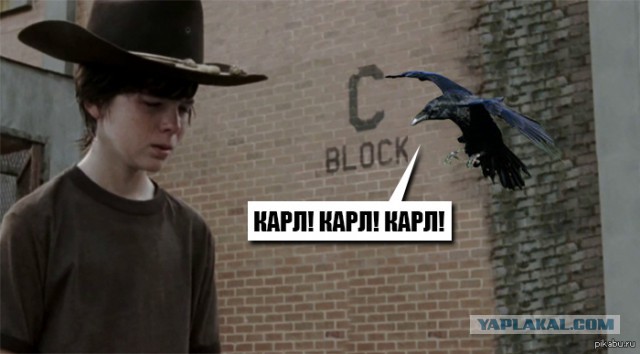 В Утиль, Карл!