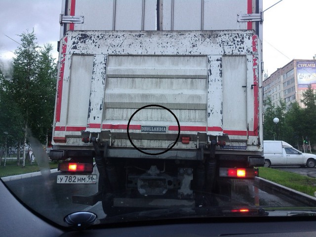 Забавные картинки из Сети