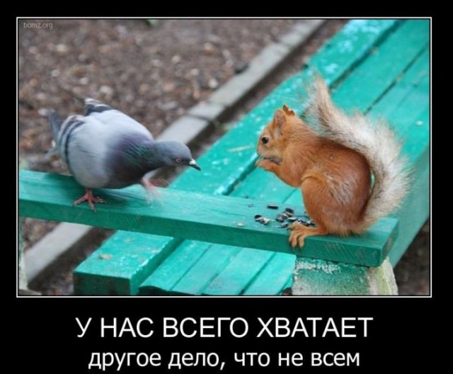 Вы хотите "демов"? часть 2-я