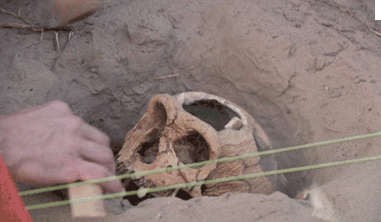 Археолог должен быть исключительно аккуратным!