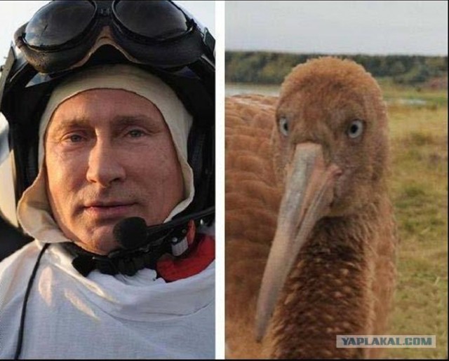 Что он сказал мальчику?