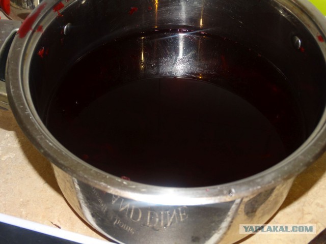 Холодник Белорусский