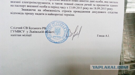 Принесли сегодня на офис