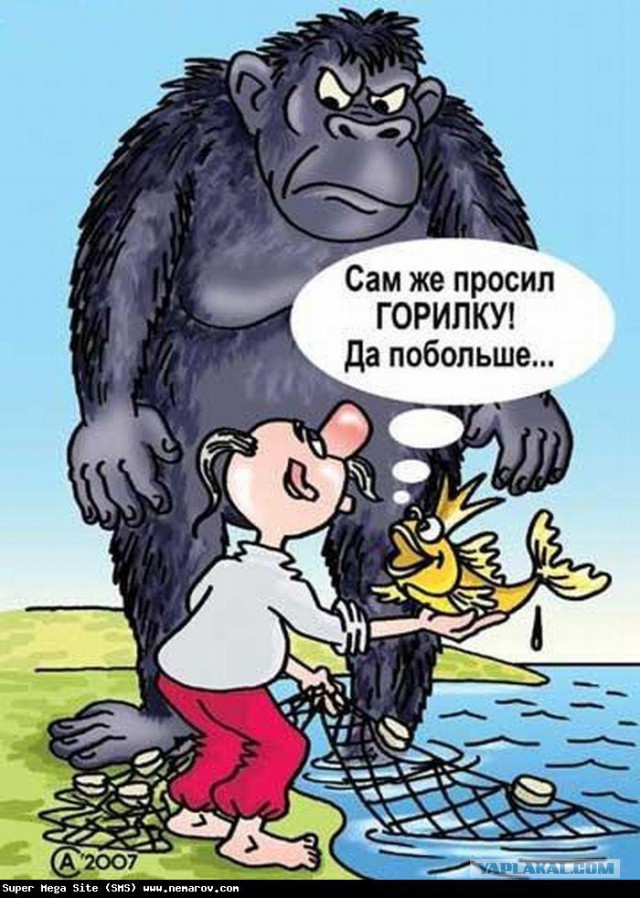 10 политических картинок часть 12