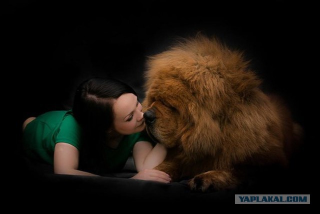 Собакочетверг же, ау!