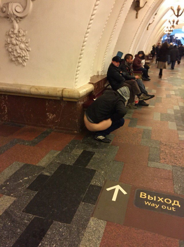 Ужасы и приколы из соцсетей 18+