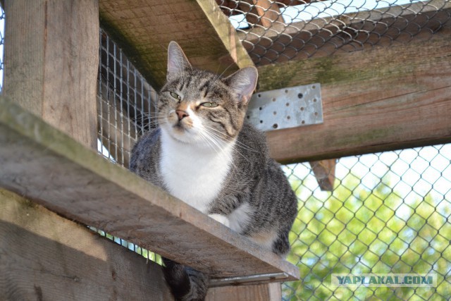 Подборка интересных и веселых фото