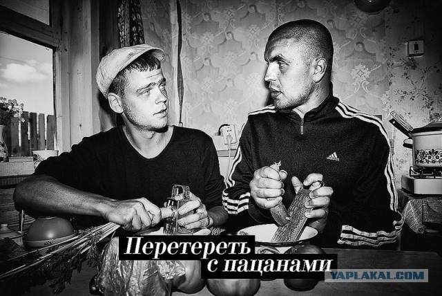 Лев против не на тех нарвались