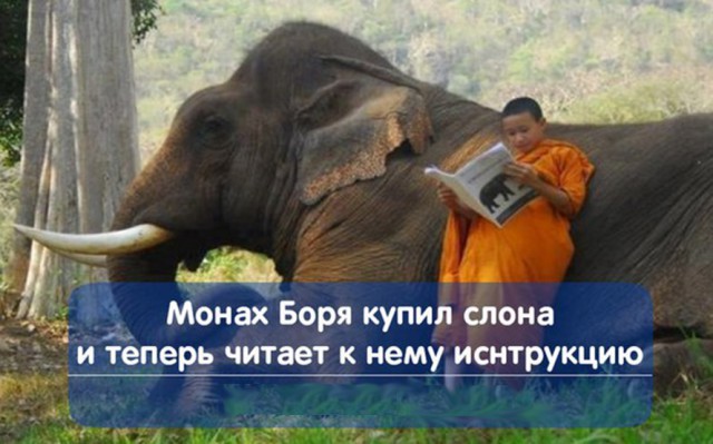 Неожиданной тупости пост