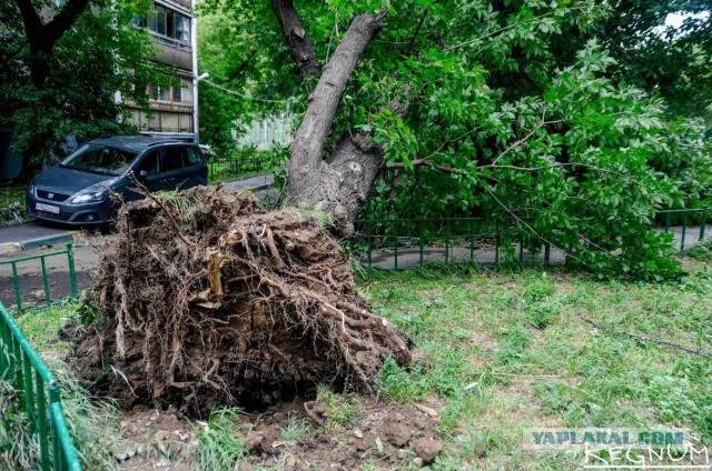 Сильная гроза в Москве и ее последствия