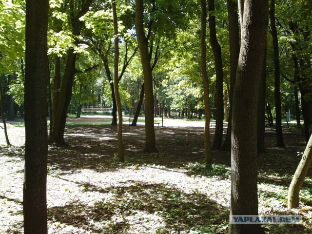 Прогулка по курганам Вятичей и языческому капищу в Царицыно