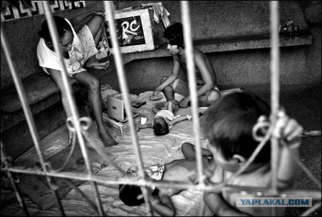 Кладбищенская принцесса: история девушки, живущей среди могил