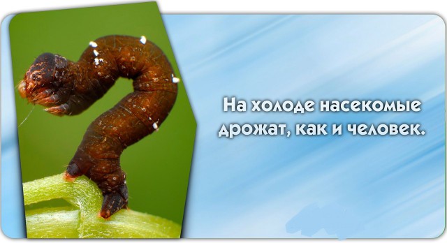 56 неожиданных фактов о большинстве которых вы не знали.