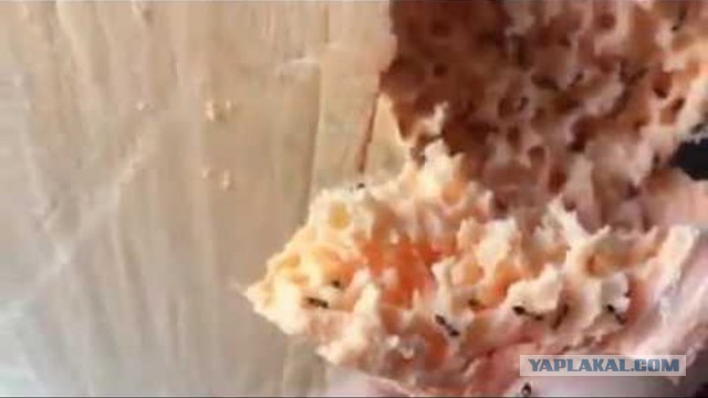 Японские дома из пенопласта