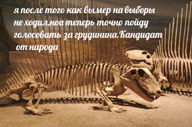 От работы отдохни, в картинки загляни!