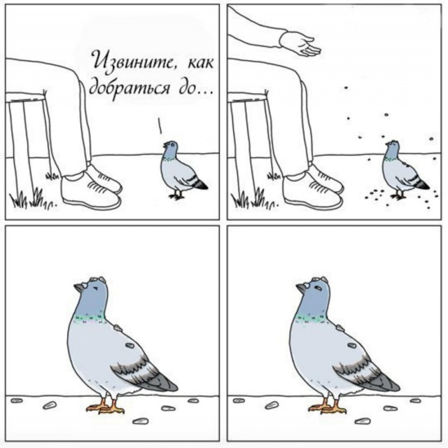 Много картинок в эту пятницу