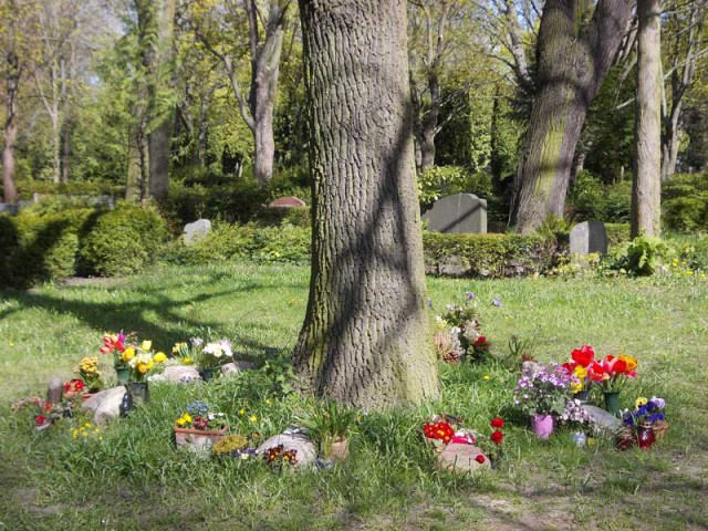 В чем вина женщины, если ей изменяет муж