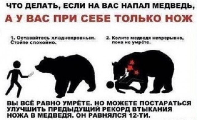 Подборка интересных и веселых картинок