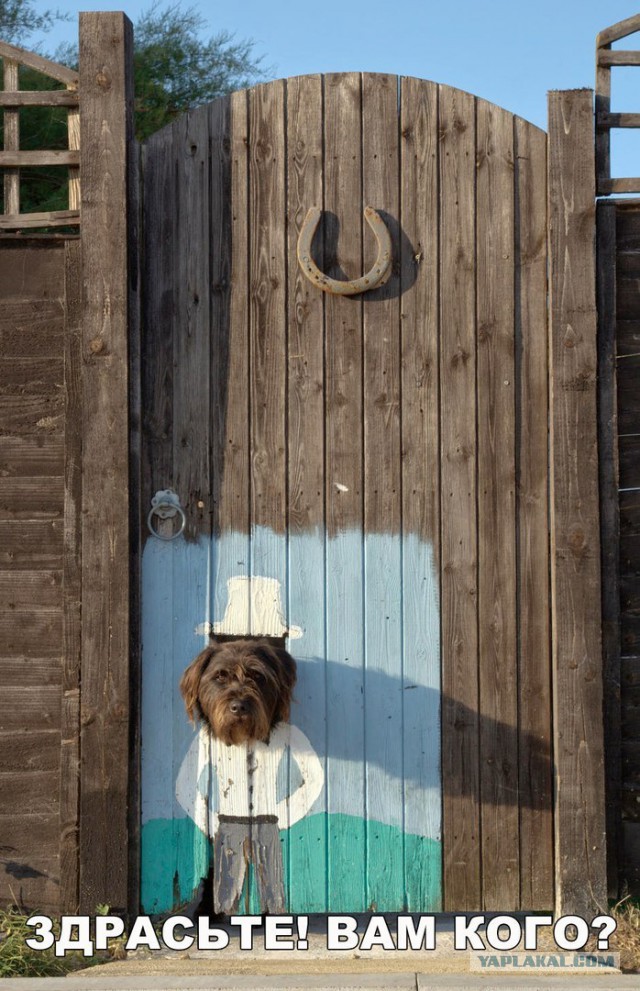 Журнал "Деградант" FALLOUT 16+