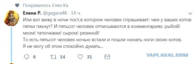 Смешные комментарии из социальных сетей 28.12.2018