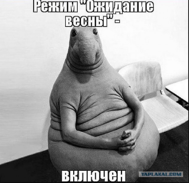 Немного картинок в эту субботу