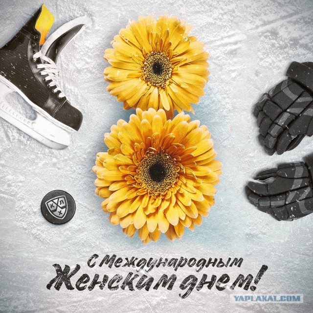 Хоккей Сезон 2018 - 2019 часть 6