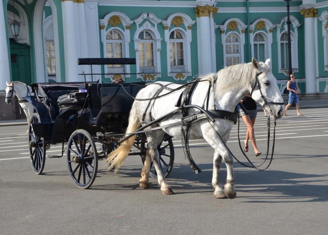 Воронежская полиция никогда не дремлет