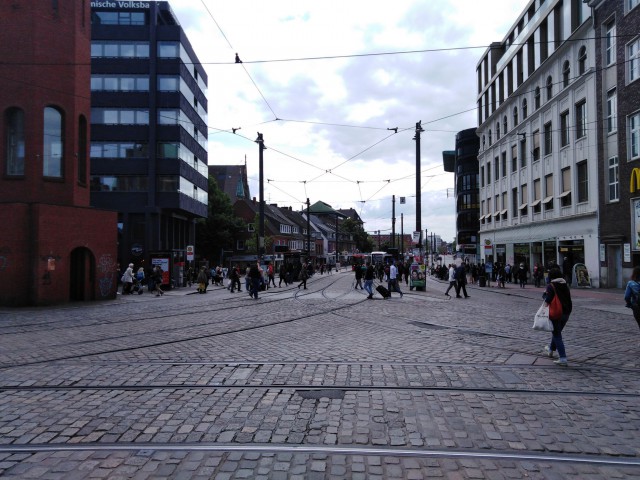 Родина осла, собаки, петуха и кота